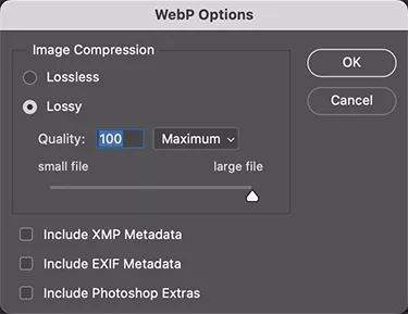 Saving WebP Options