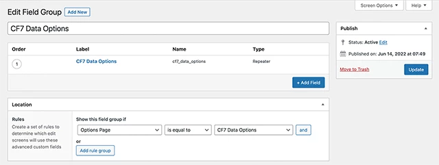 Edit Field Group for Options Page